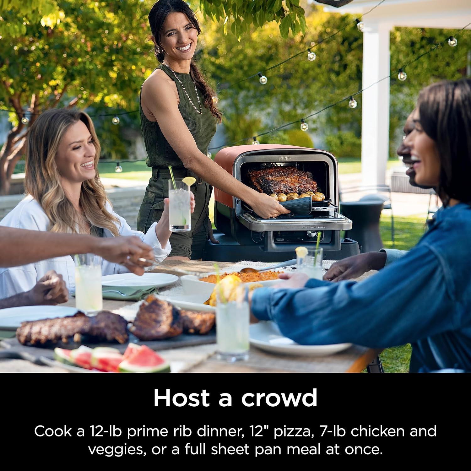 imageNinja Woodfire Outdoor Pizza Oven 8in1 Portable Electric Roaster Oven Heats up to 700F 5 Artisan Pizza Settings Integrated BBQ Smoker Box Includes Flavored Wood Pellets Terracotta RedPizza Oven Smoker