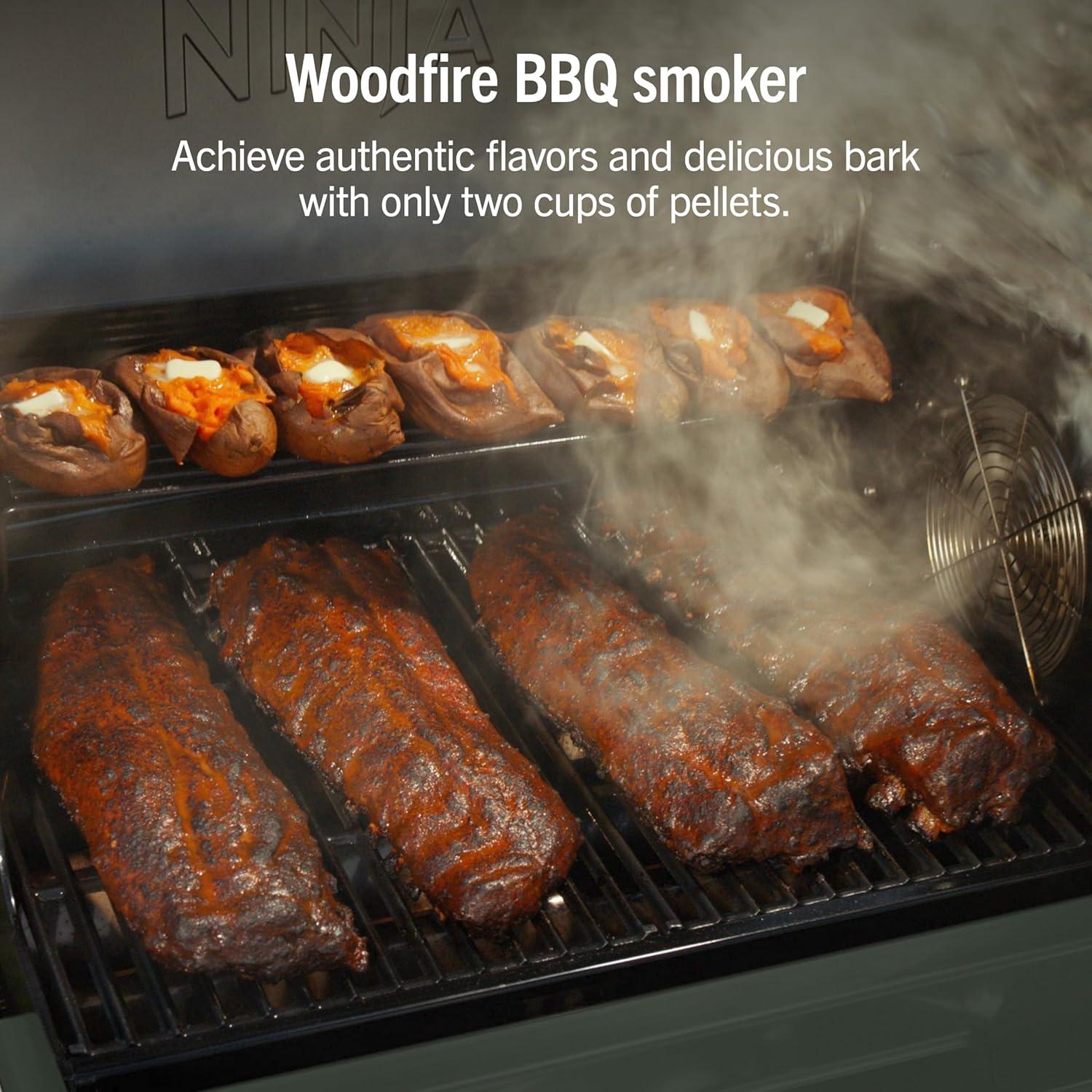 imageNinja FlexFlame Grill and Smoker Electric and Propane Grill Roaster BBQ Grill 5in1 Cooking System 3 Burner Digital Control Outdoor Cooking Griddle Pizza Maker Blue PG301BLGreen