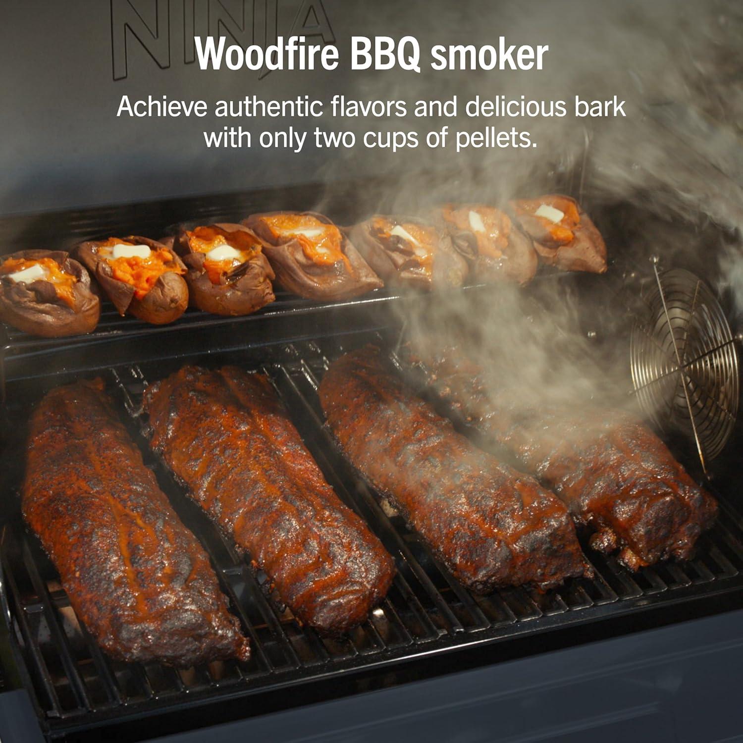 imageNinja FlexFlame Grill and Smoker Electric and Propane Grill Roaster BBQ Grill 5in1 Cooking System 3 Burner Digital Control Outdoor Cooking Griddle Pizza Maker Blue PG301BLBlue