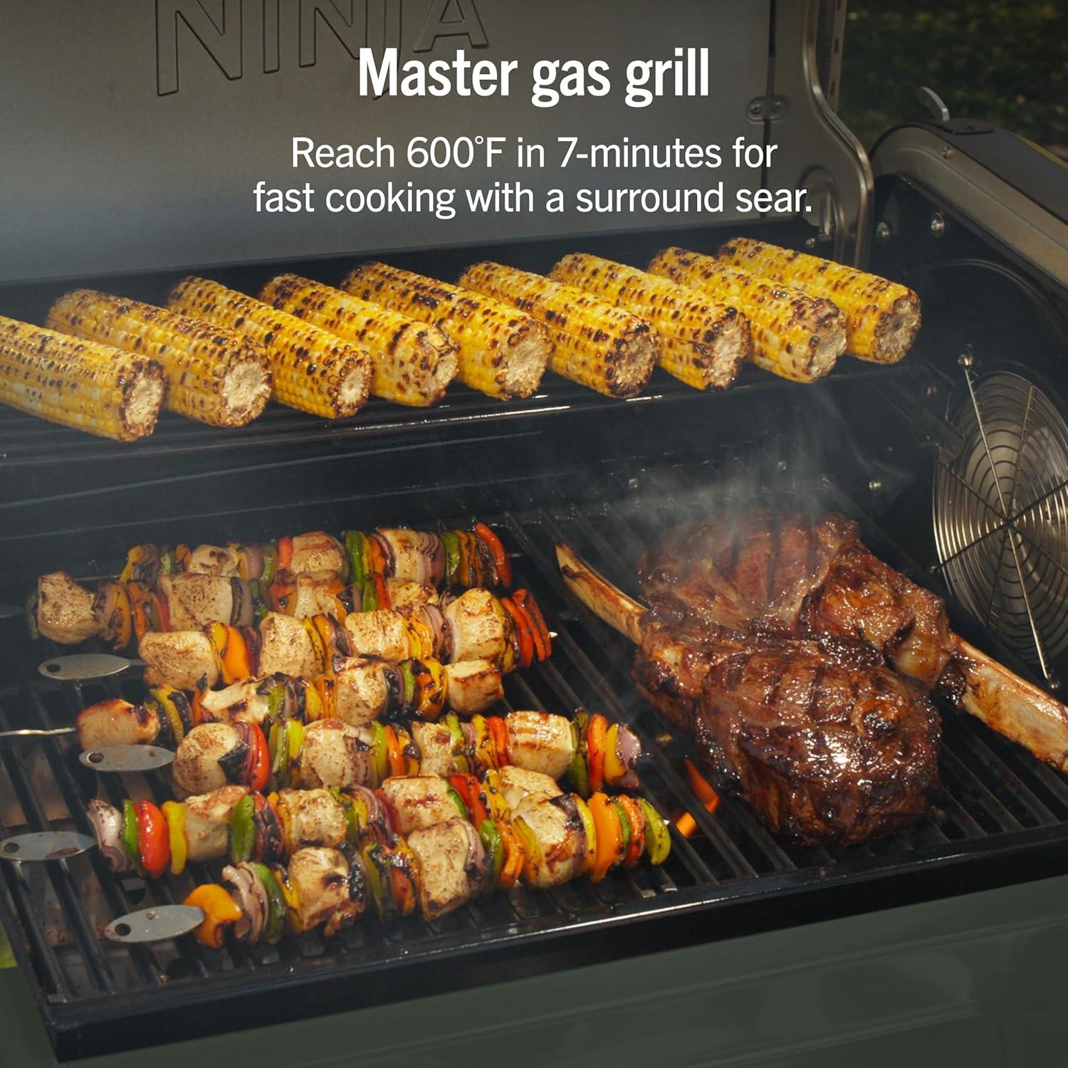 imageNinja FlexFlame Grill and Smoker Electric and Propane Grill Roaster BBQ Grill 5in1 Cooking System 3 Burner Digital Control Outdoor Cooking Griddle Pizza Maker Blue PG301BLGreen