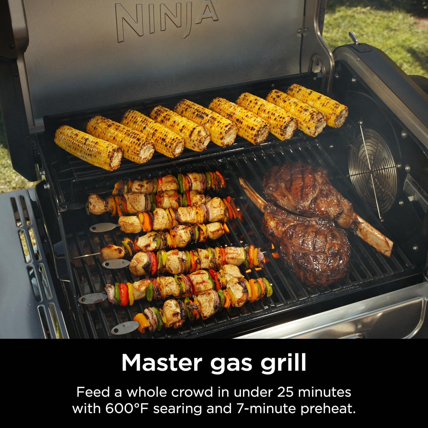 imageNinja FlexFlame Grill and Smoker Electric and Propane Grill Roaster BBQ Grill 5in1 Cooking System 3 Burner Digital Control Outdoor Cooking Griddle Pizza Maker Blue PG301BLStainless Steel