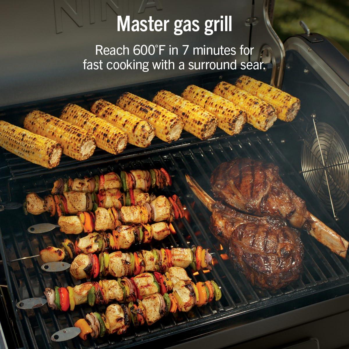 imageNinja FlexFlame Grill and Smoker Electric and Propane Grill Roaster BBQ Grill 5in1 Cooking System 3 Burner Digital Control Outdoor Cooking Griddle Pizza Maker Blue PG301BLBlack
