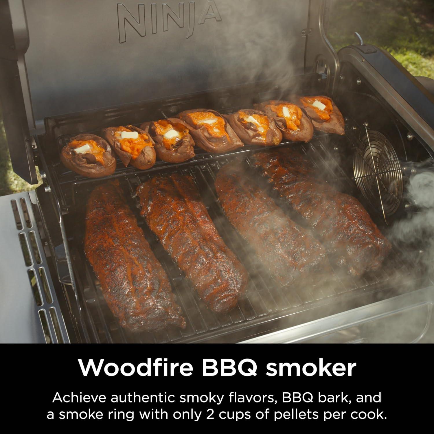 imageNinja FlexFlame Grill and Smoker Electric and Propane Grill Roaster BBQ Grill 5in1 Cooking System 3 Burner Digital Control Outdoor Cooking Griddle Pizza Maker Blue PG301BLStainless Steel