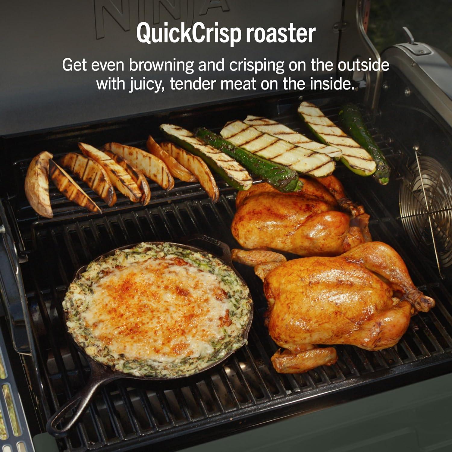 imageNinja FlexFlame Grill and Smoker Electric and Propane Grill Roaster BBQ Grill 5in1 Cooking System 3 Burner Digital Control Outdoor Cooking Griddle Pizza Maker Blue PG301BLGreen