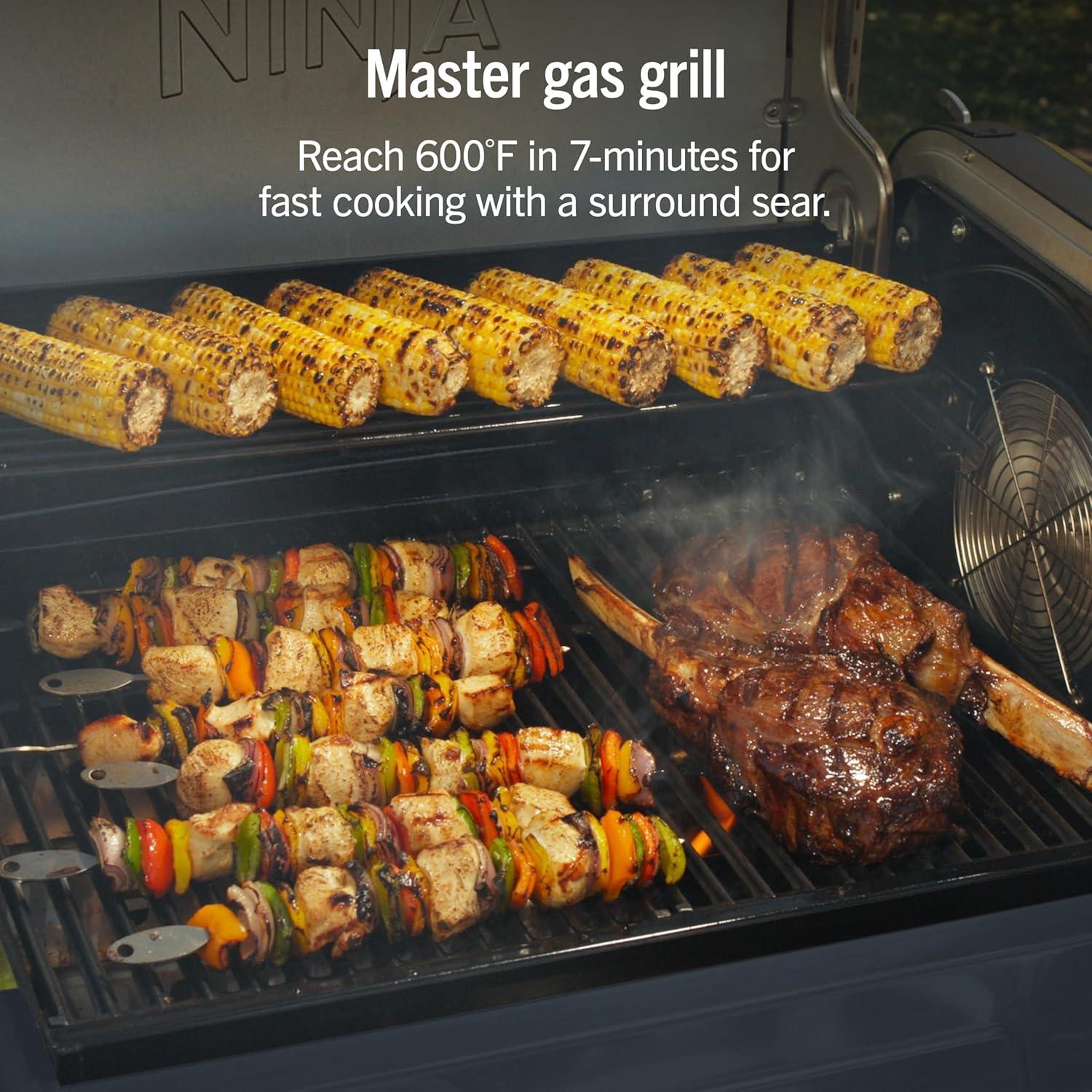 imageNinja FlexFlame Grill and Smoker Electric and Propane Grill Roaster BBQ Grill 5in1 Cooking System 3 Burner Digital Control Outdoor Cooking Griddle Pizza Maker Blue PG301BLBlue
