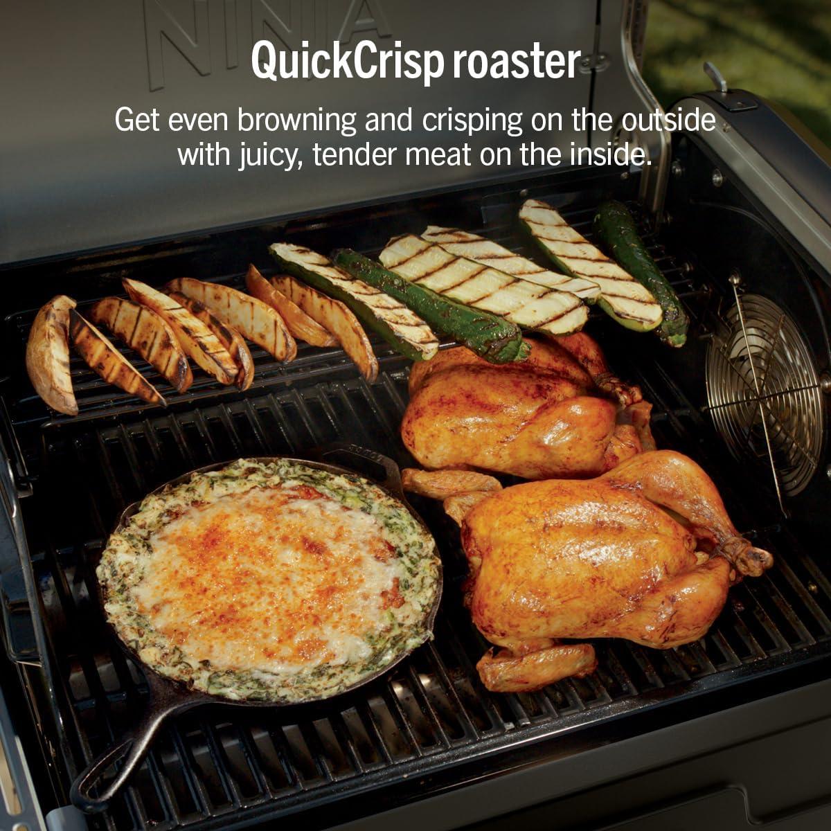 imageNinja FlexFlame Grill and Smoker Electric and Propane Grill Roaster BBQ Grill 5in1 Cooking System 3 Burner Digital Control Outdoor Cooking Griddle Pizza Maker Blue PG301BLBlack