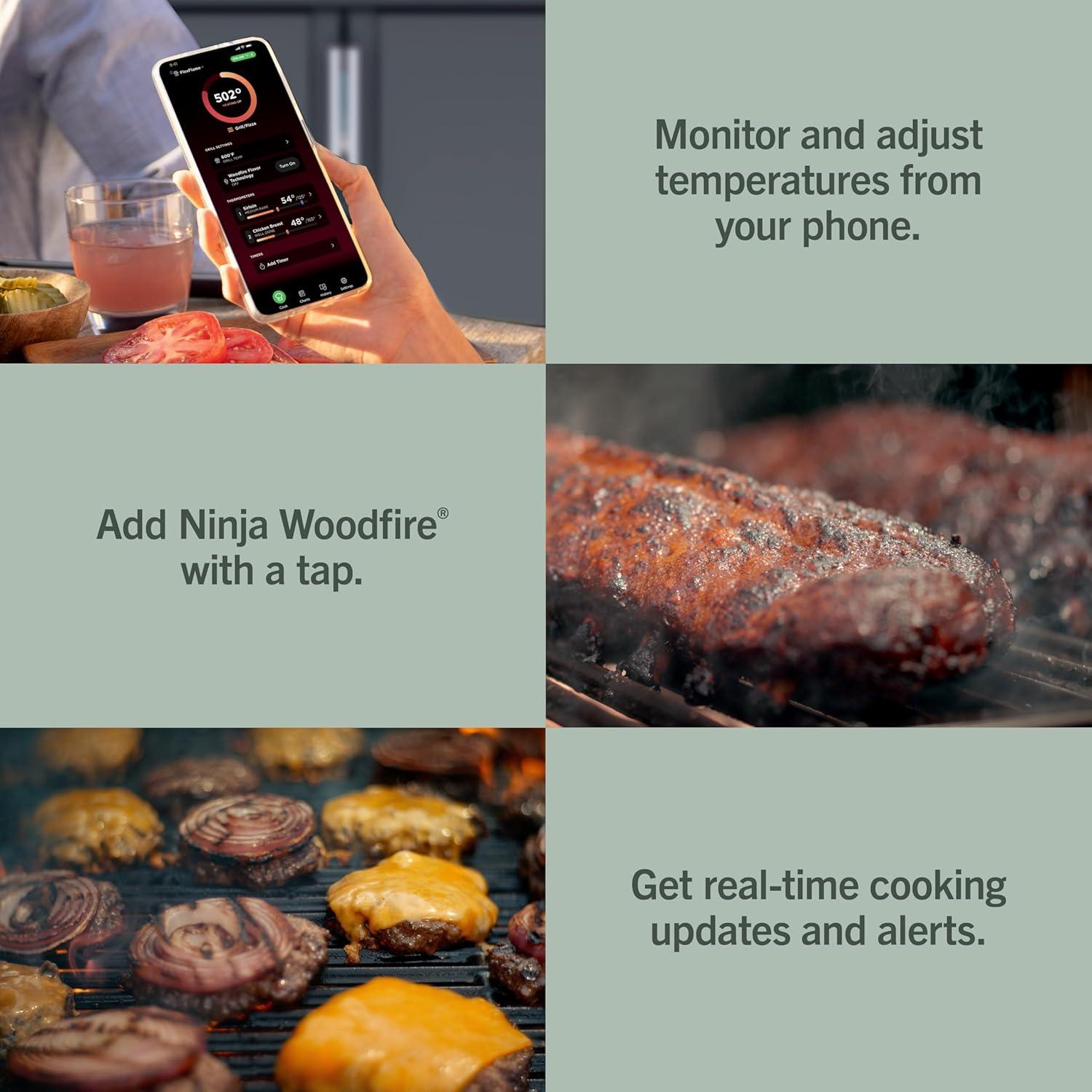 imageNinja FlexFlame ProConnect Grill amp Smoker 5in1 Smart Cooking System Electric amp Propane AppConnected 3Burner Digital Control Roast Griddle amp Pizza Maker BlackGold PG305