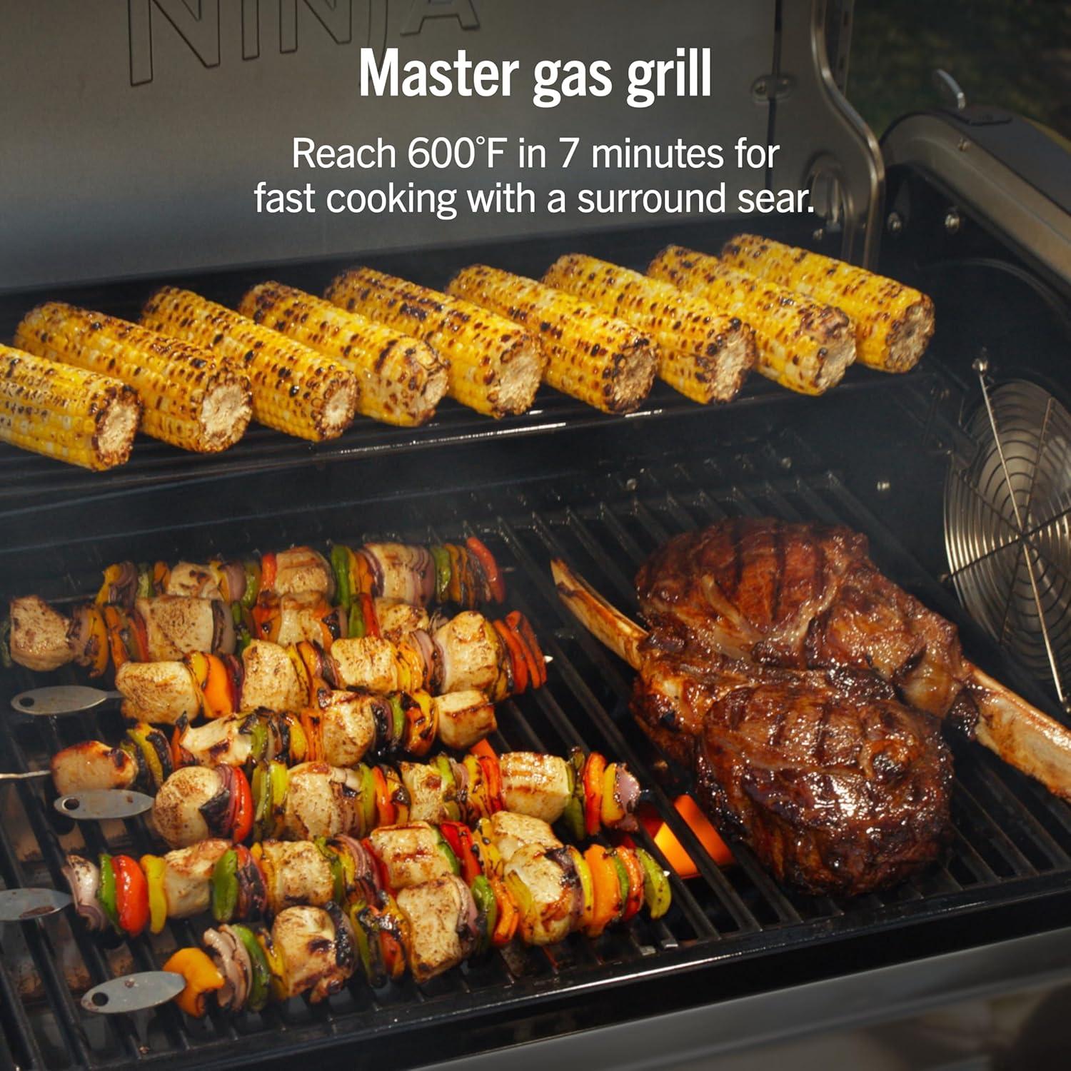 imageNinja FlexFlame ProConnect Grill amp Smoker 5in1 Smart Cooking System Electric amp Propane AppConnected 3Burner Digital Control Roast Griddle amp Pizza Maker BlackGold PG305