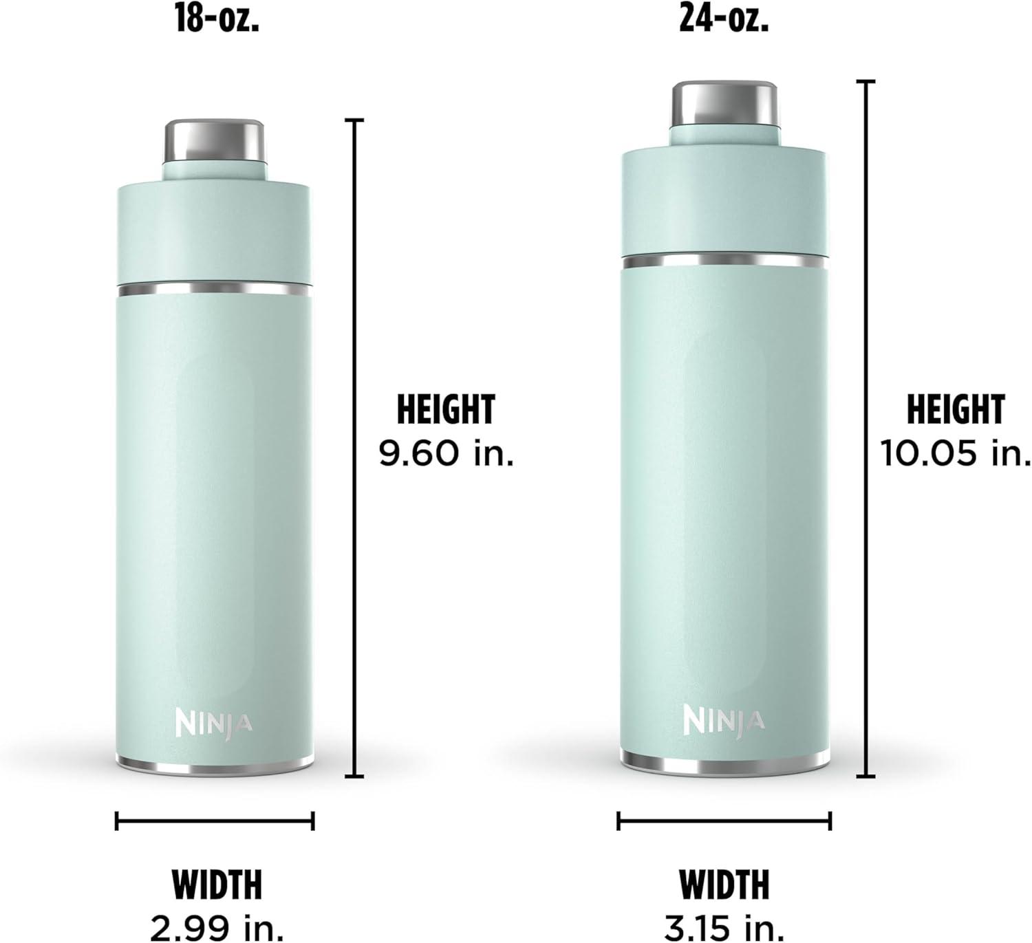 imageNinja DW2401GY Thirsti 24oz Travel Water Bottle For Carbonated Sparkling Drinks Colder and Fizzier Longer Leak Proof 24 Hrs Cold Dishwasher Safe Stainless Steel Insulated Tumbler Charcoal GrayMint