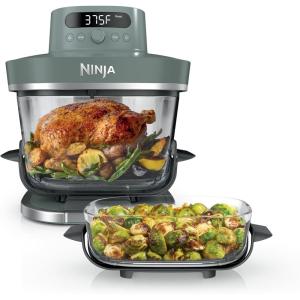 Ninja Crispi Pro 6-in-1 Glass Air Fryer | 450°F, Nontoxic, 6qt & 2.5qt Containers & Lids | Microwave, Freezer, Dishwasher Safe | Max Crisp, Air Fry, Bake, Roast, Recrisp, Dehydrate |Cyberspace AS101CY(Ash Grey)