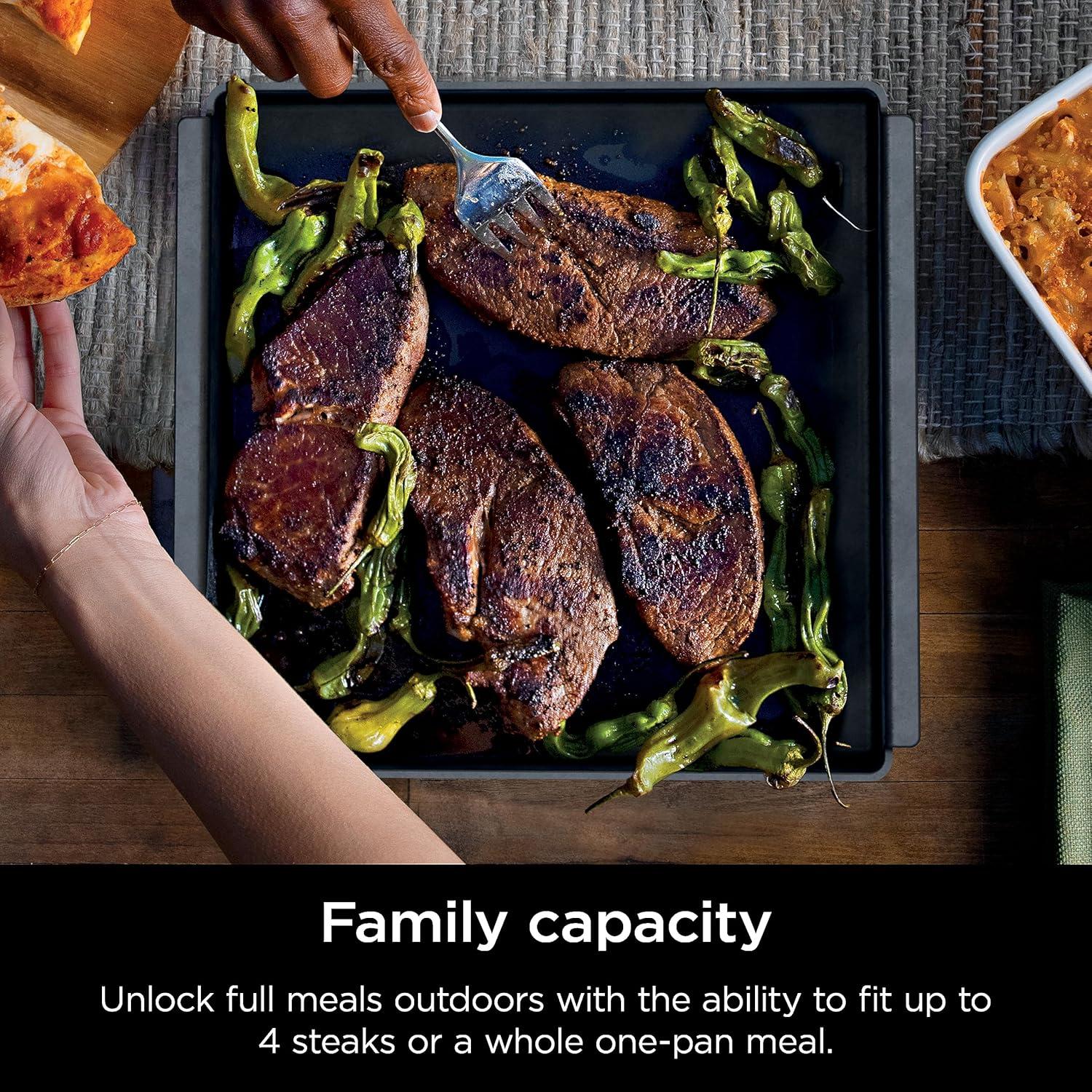 imageNinja XSKOCTPN Woodfire Outdoor Cast Iron Pan PreSeasoned High Heat Compatible Woodfire Outdoor Oven OO100 Series Cast Iron Black 12 x 12