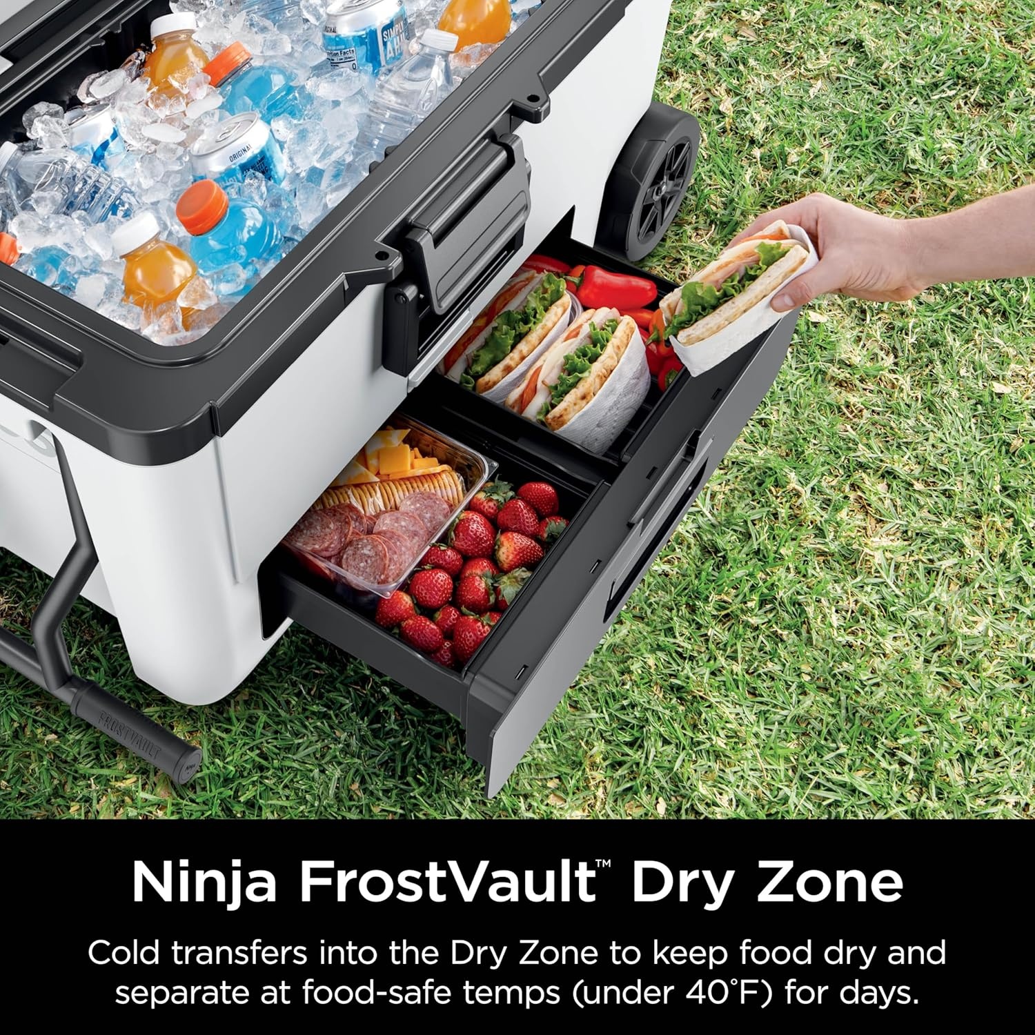 image:imageNinja FrostVault 65qt Wheeled Cooler with Cold Dry Zone Integrated FridgeTemp Dry Storage Drawer Premium HeavyDuty Insulated Cooler Keeps Ice Cold for Days Spanish Moss FB265GN1Halocline Green