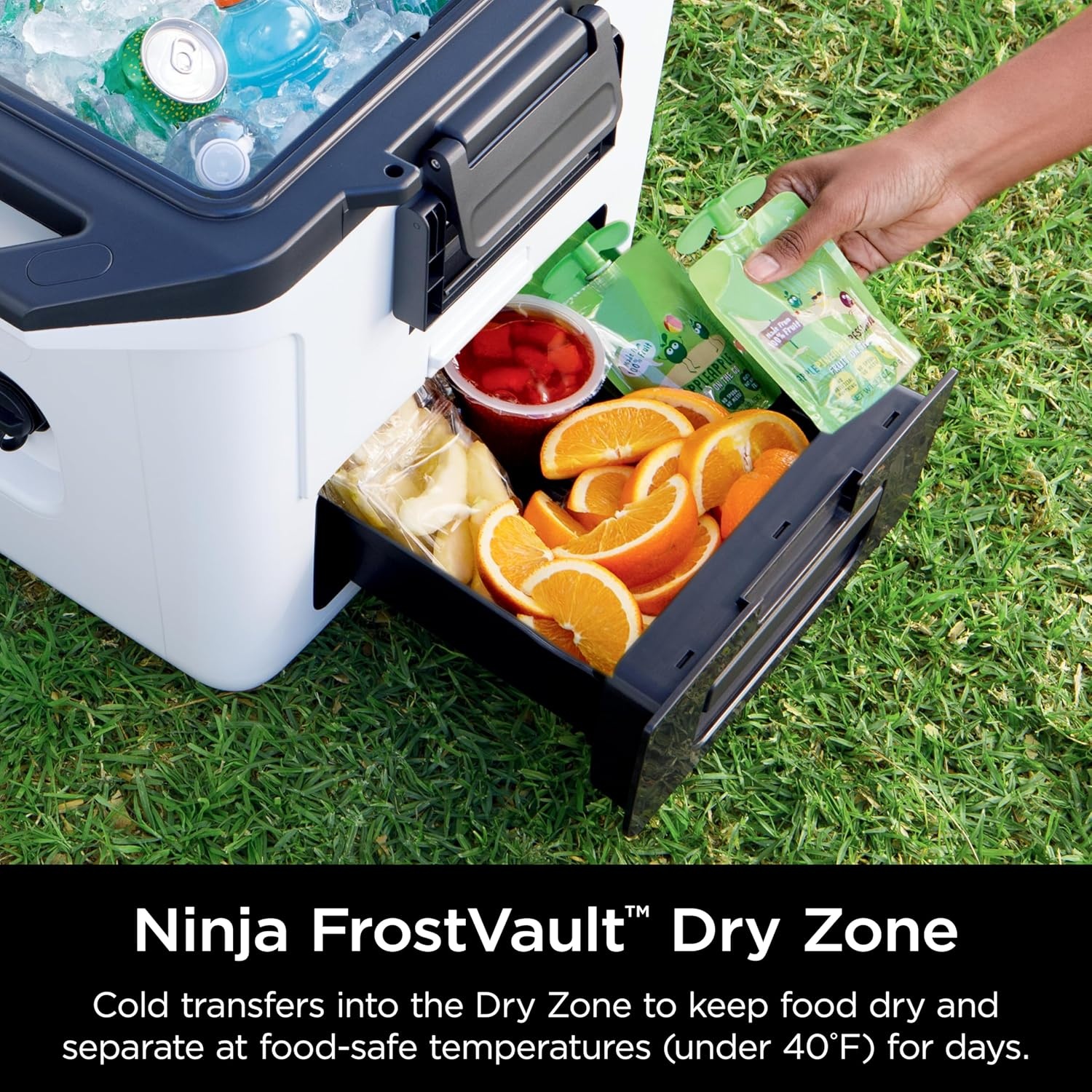 image:imageNinja FrostVault 50qt Hard Cooler with Dry Zone Integrated FridgeTemp Dry Storage Drawer Premium HeavyDuty Insulated Cooler Keeps Ice Cold for Days Spanish Moss FB151GN1Cloud White