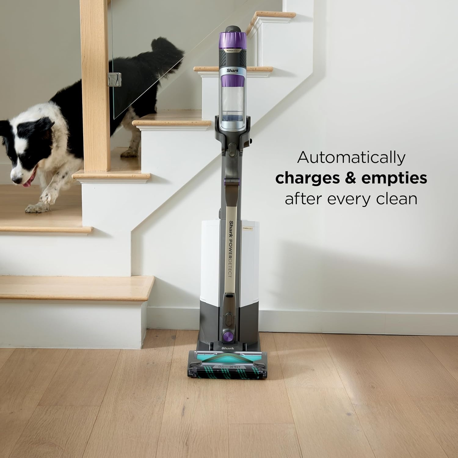 image:imageShark PowerDetect Pet Plus Clean amp Empty Cordless Stick Vacuum amp AutoEmpty System Powerful Suction HEPA Carpet amp Hard Floor Portable Stick Vacuum for Pet Hair 70Min Runtime Gray IP3253PowerDetect w AutoEmpty Essential