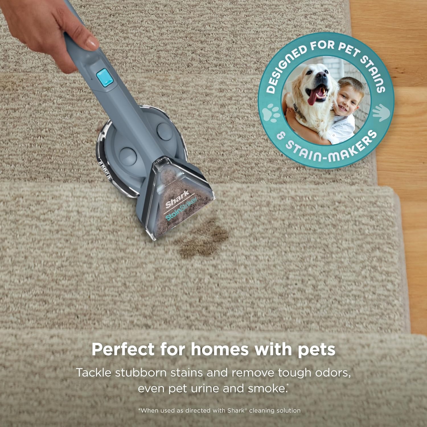 image:imageShark StainStriker Portable CarpetUpholstery Cleaner 4 Tools PX202BRNStainStriker 4 Tools XL Cleaning Solutions